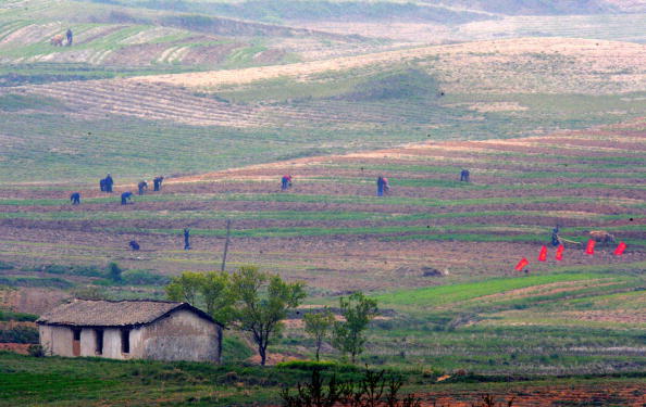 A wide view of north korean farm lands