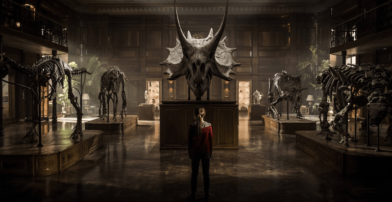 A young girl stands at a dinosaur museum. 