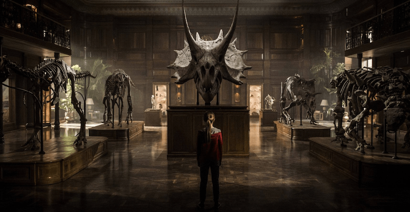 A young girl stands at a dinosaur museum. A young girl stands at a dinosaur museum.
