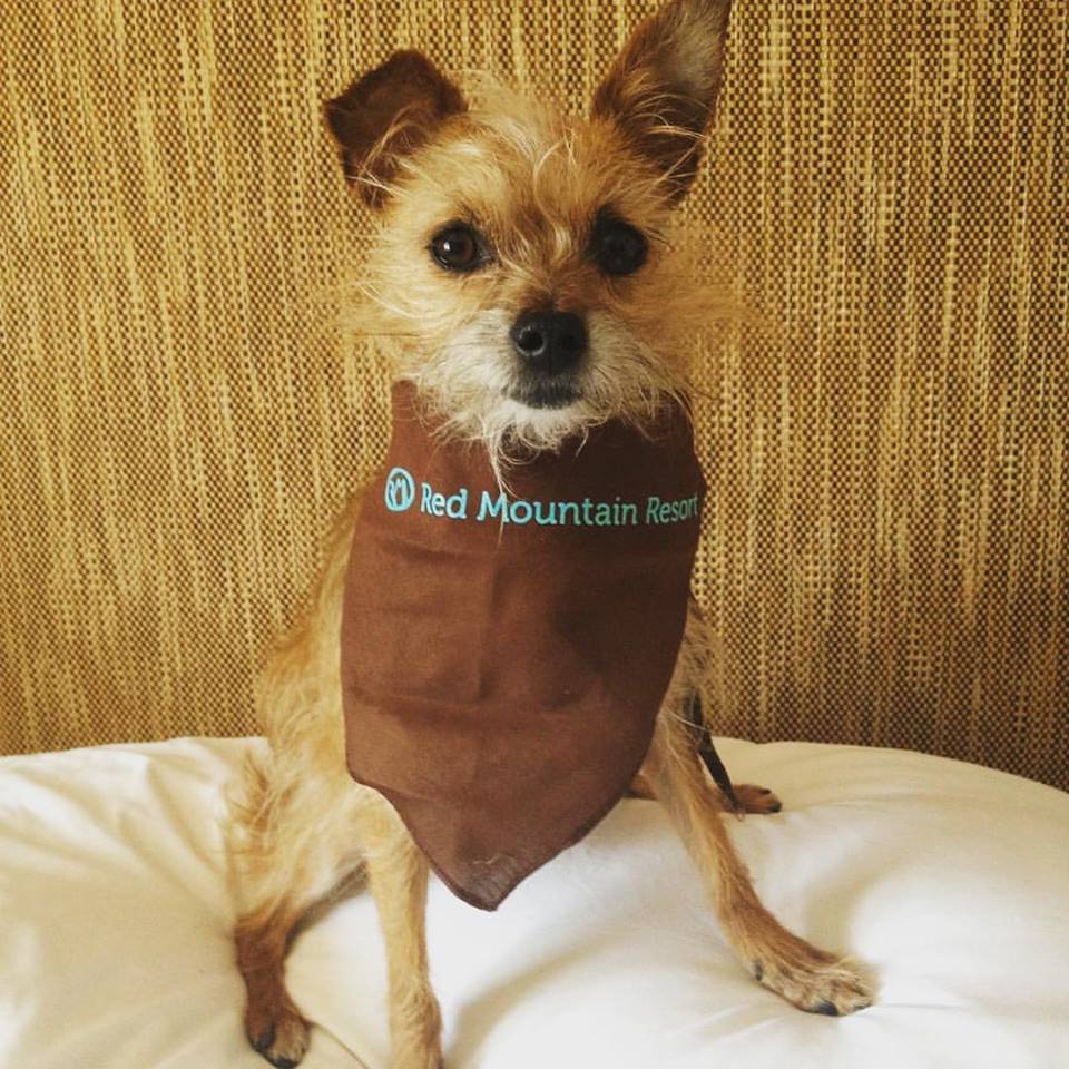 Red Mountain Resort