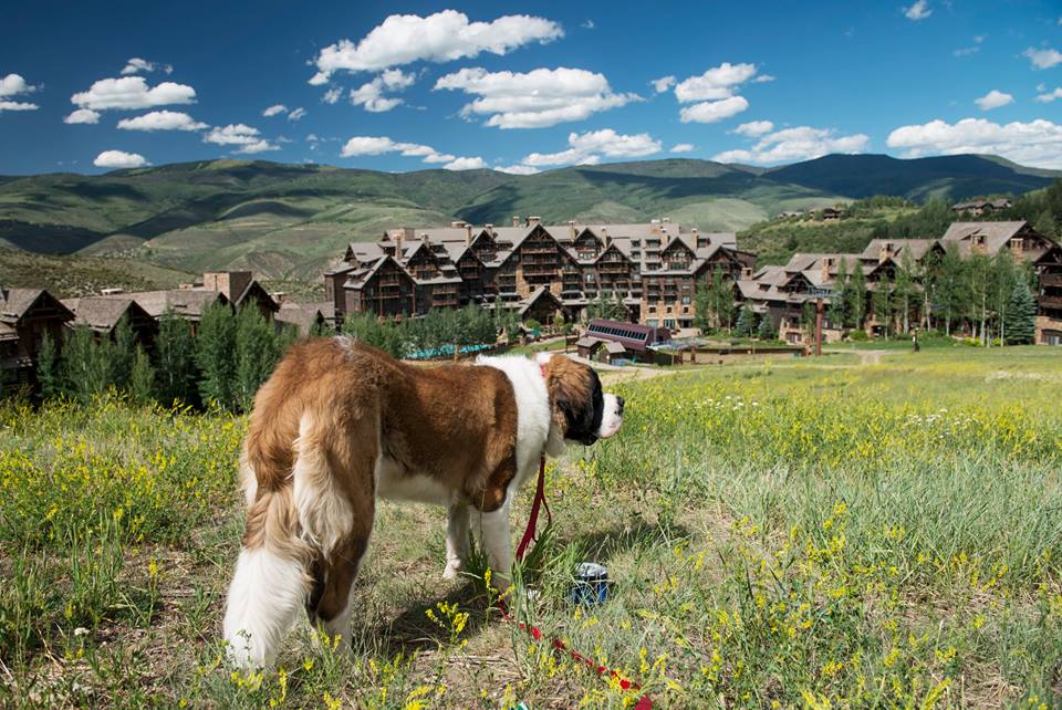 The Ritz-Carlton, Bachelor Gulch