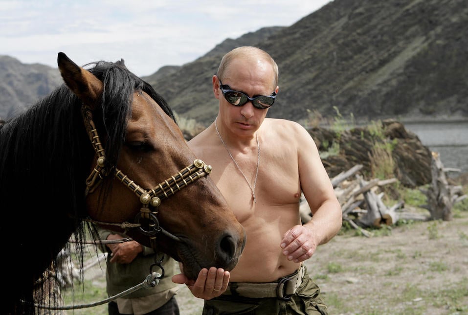 Russian Prime Minister Vladimir Putin is pictured with a horse during his vacation Russian Prime Minister Vladimir Putin is pictured with a horse during his vacation