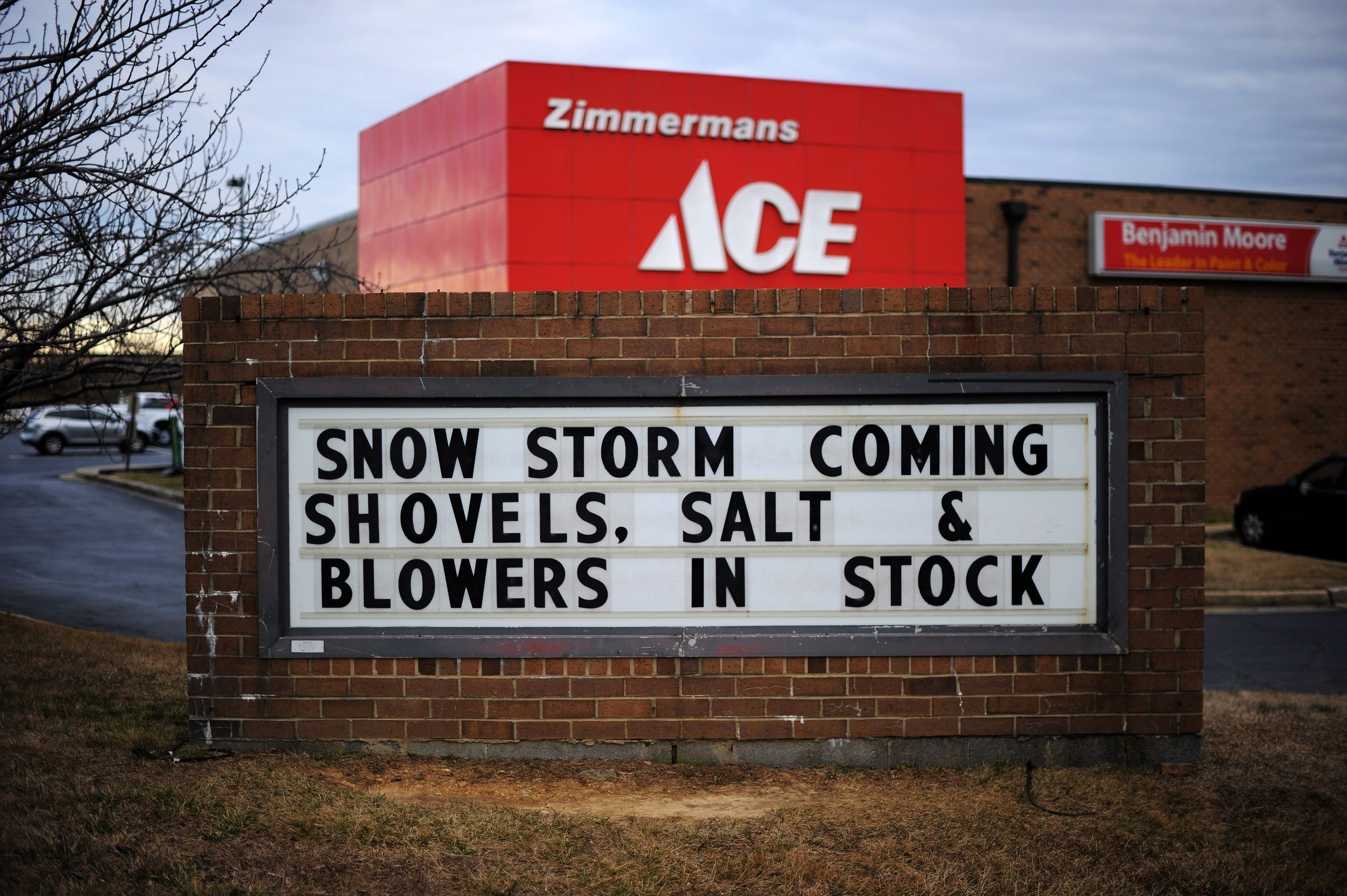 Ace Hardware