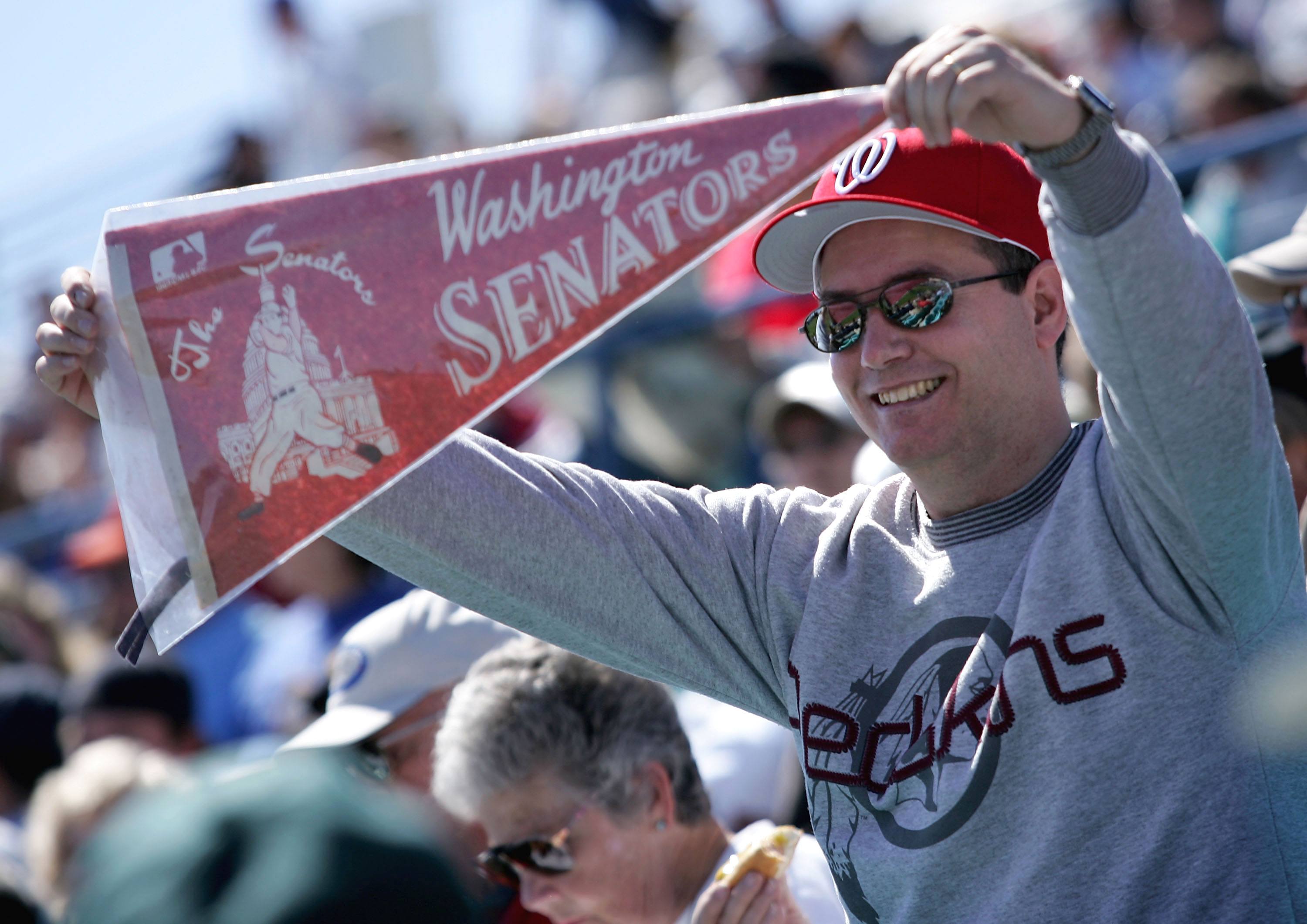 Baseball penant