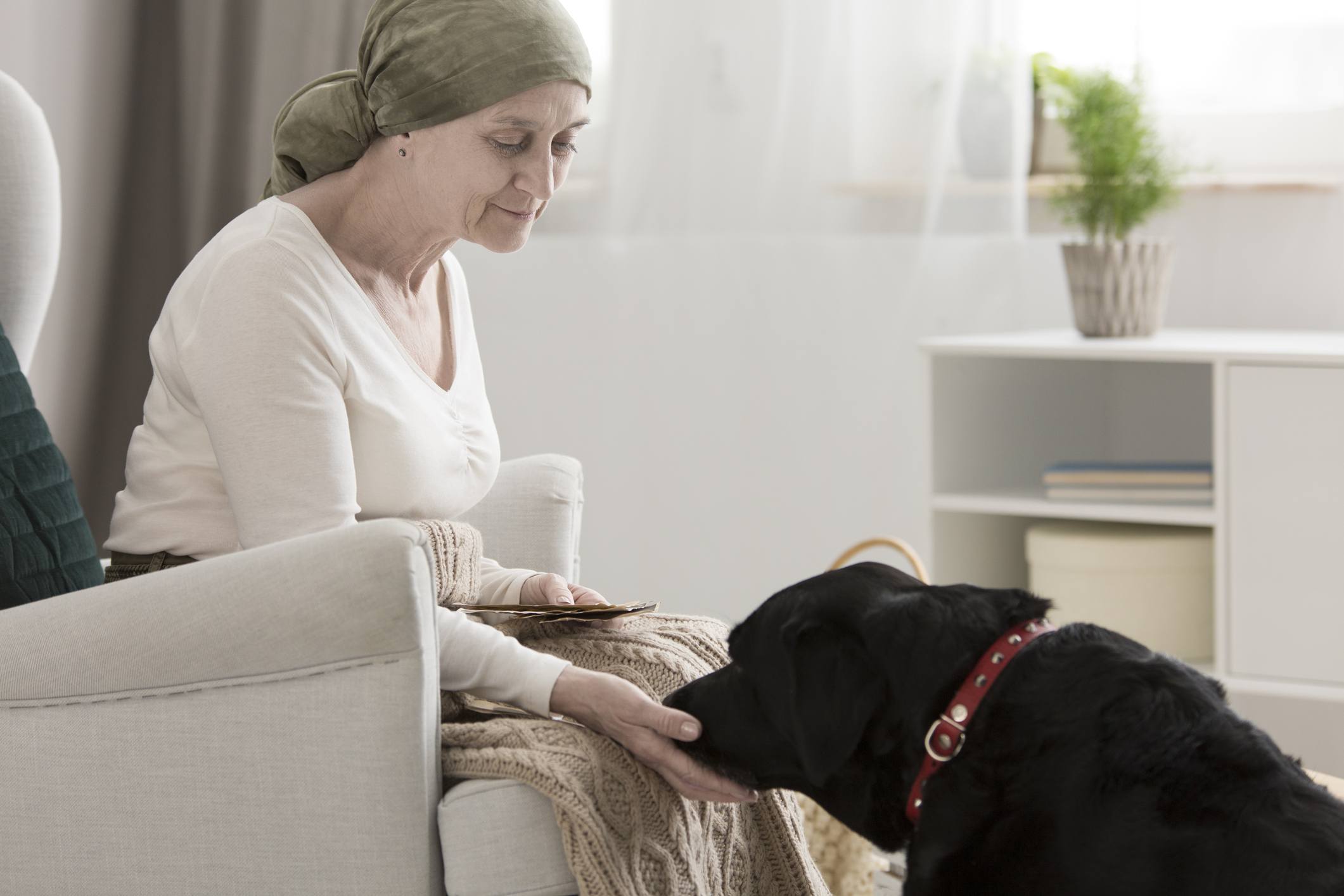 Cancer patient with therapy dog