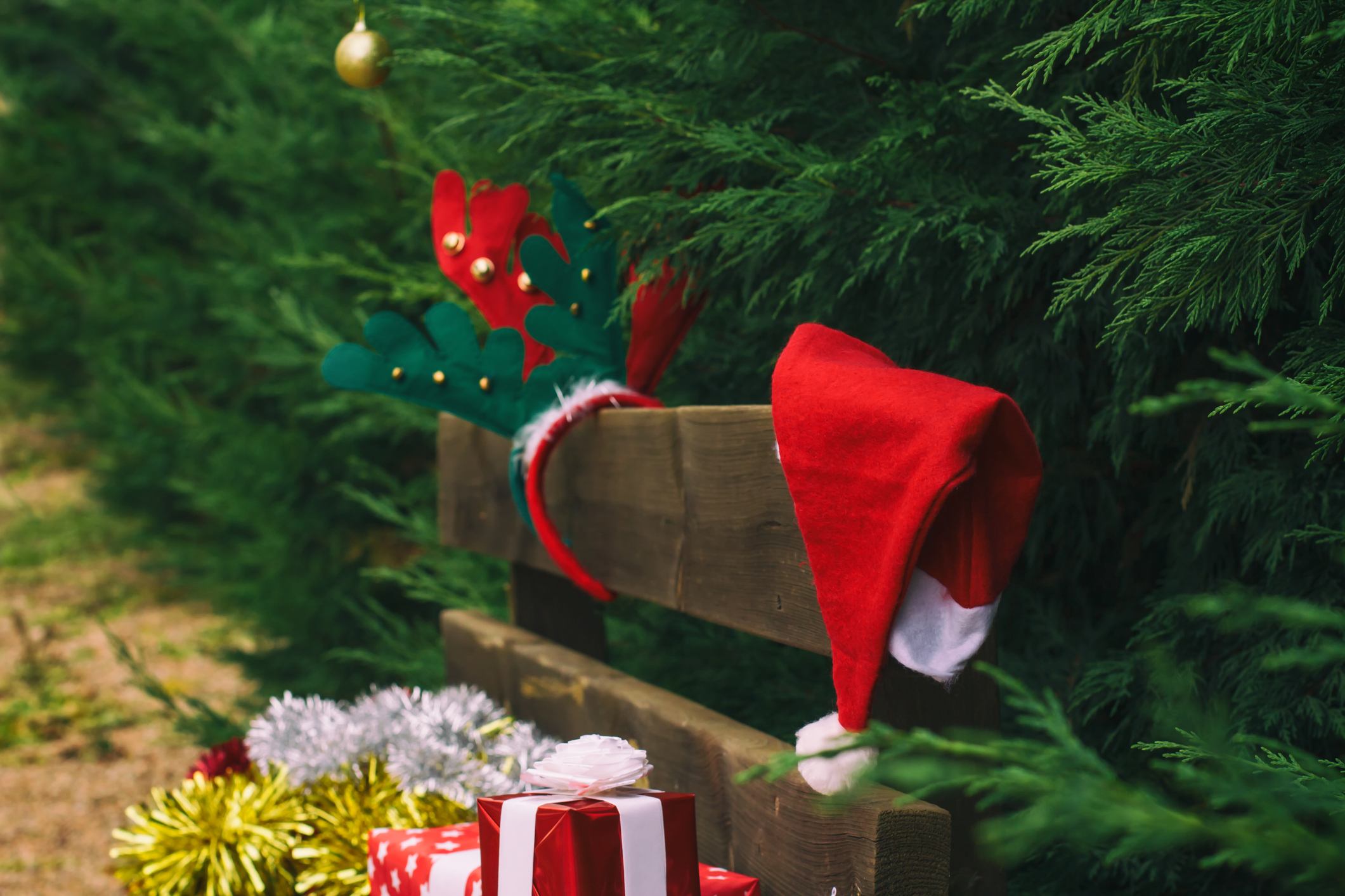 Christmas decor on bench