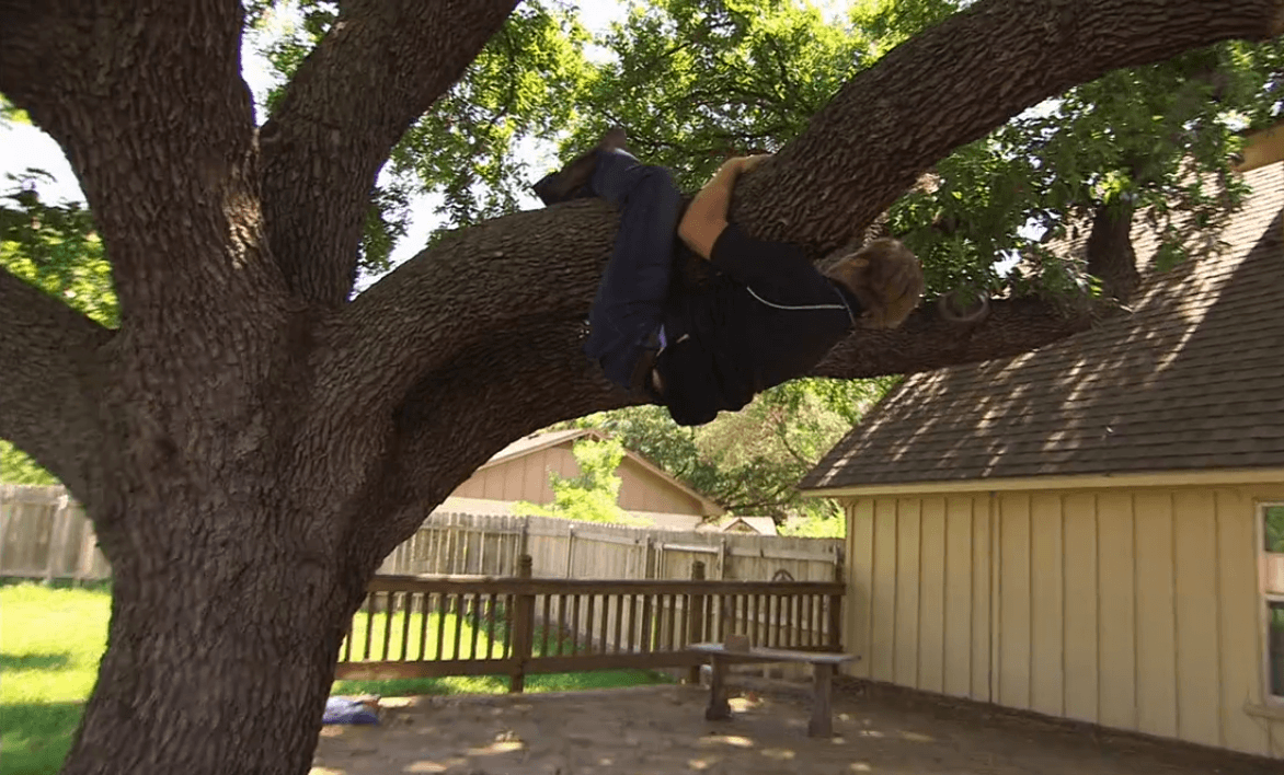 Chip Gaines climbs a tree