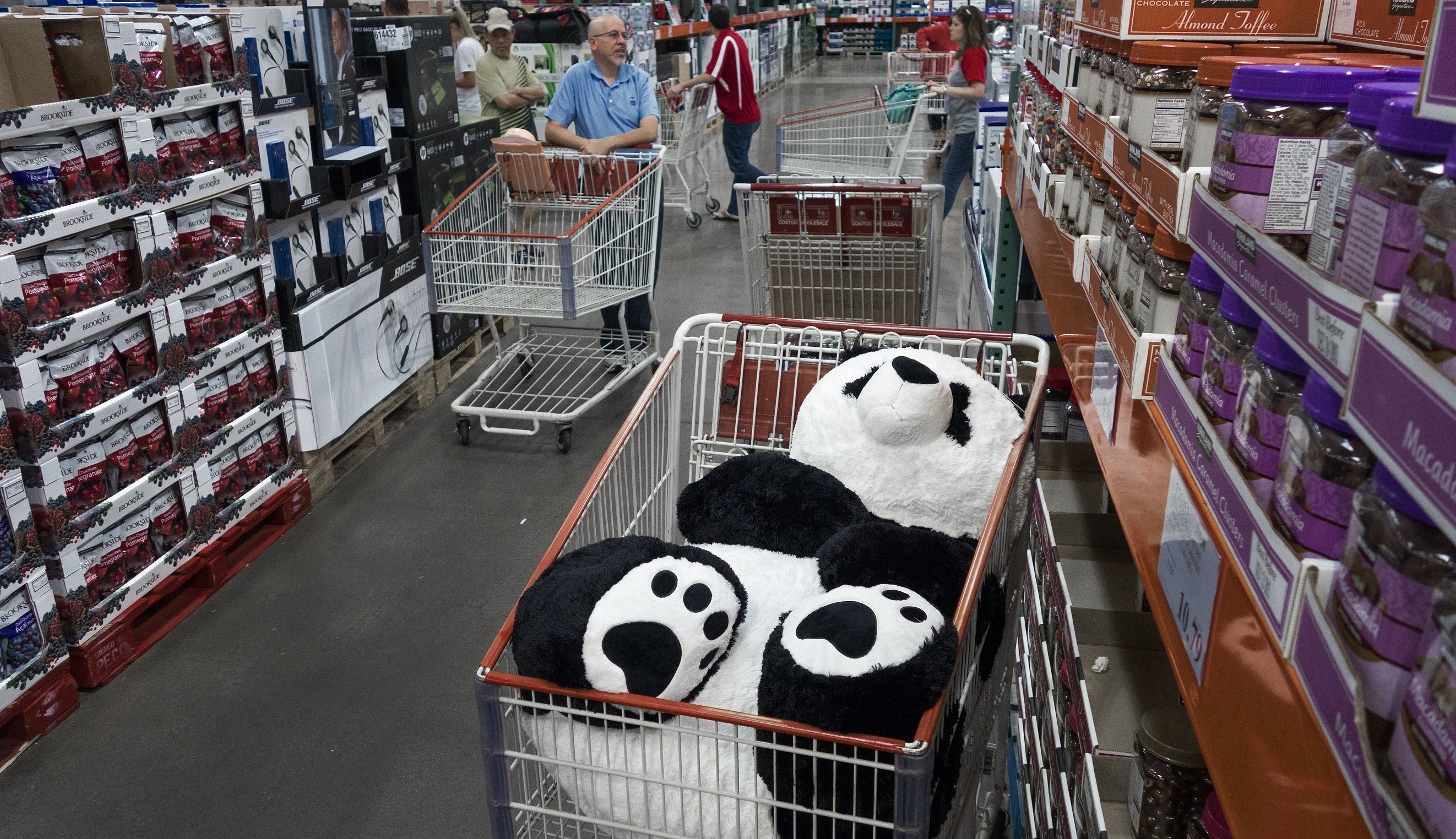 A stuffed panda bear in a discarded cart at the COSTCO store Costco Stuffed animal