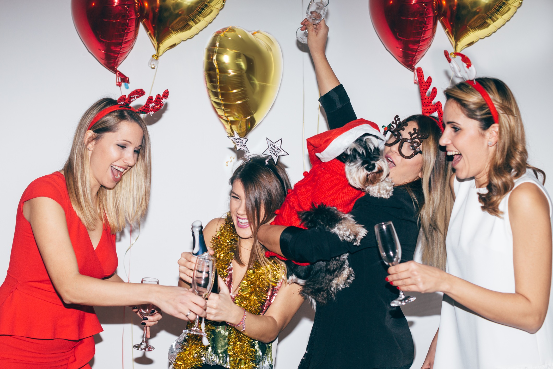 Holiday party with a dog