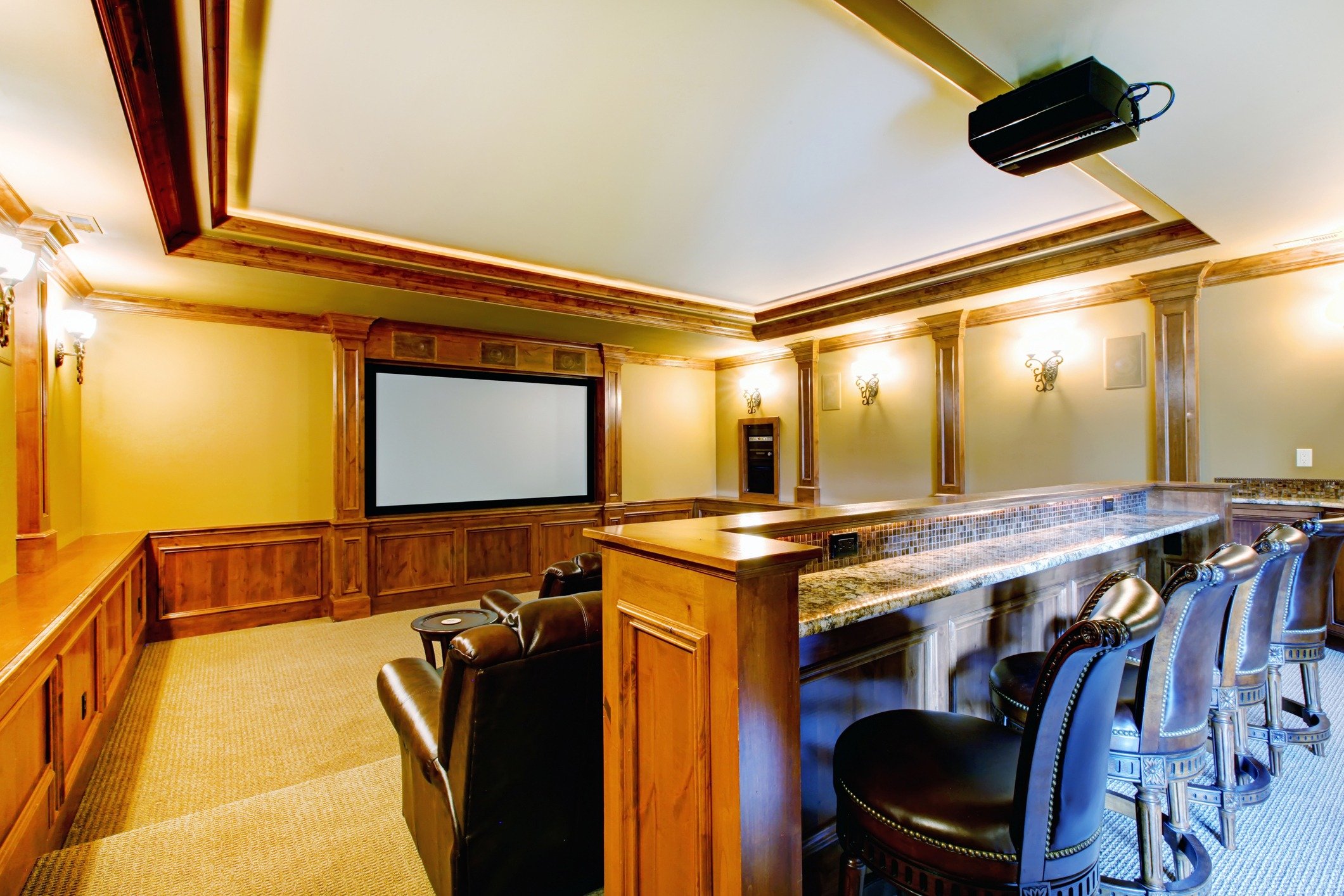 Home Movie Theater with bar