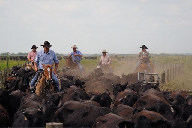 Lykes Brothers Inc Ranch
