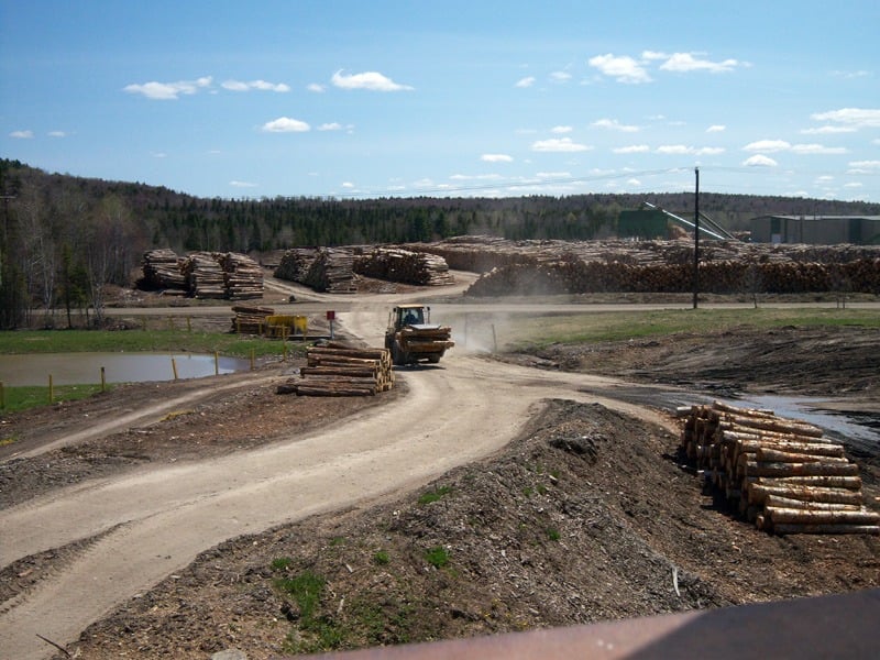 Pingree Family Land