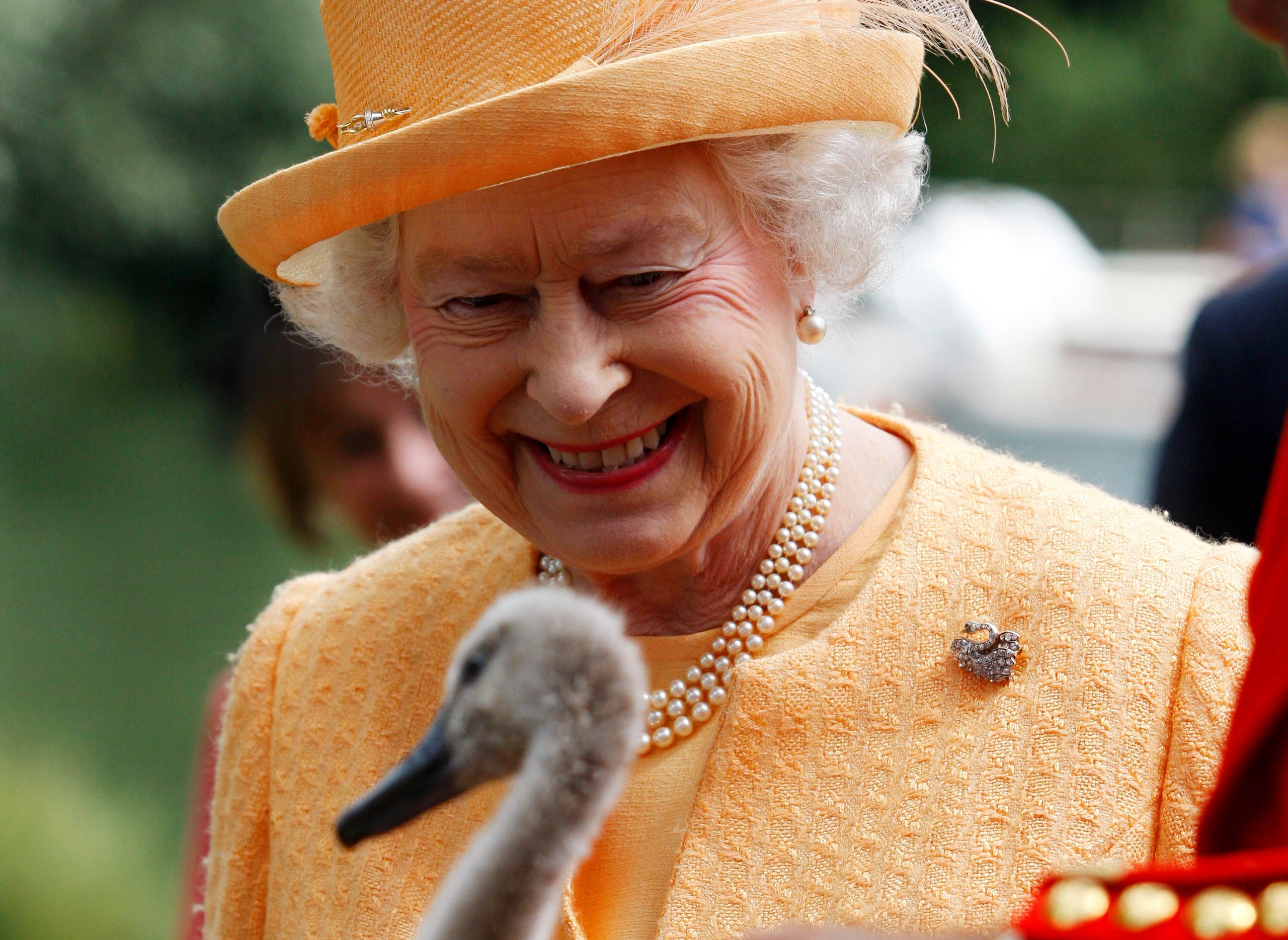 The Most Exotic Animals Ever Gifted to Queen Elizabeth