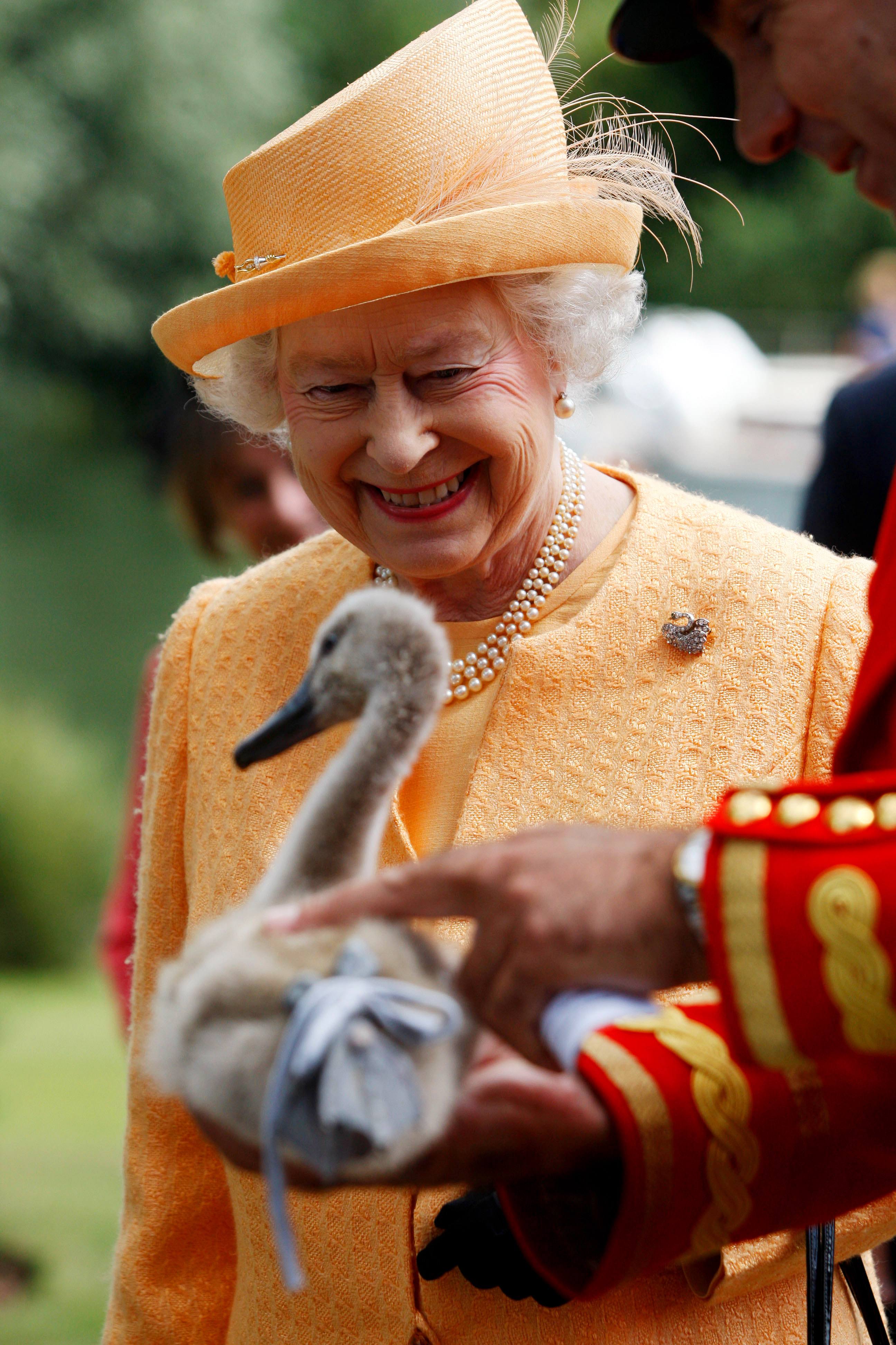 Queen Elizabeth and swan