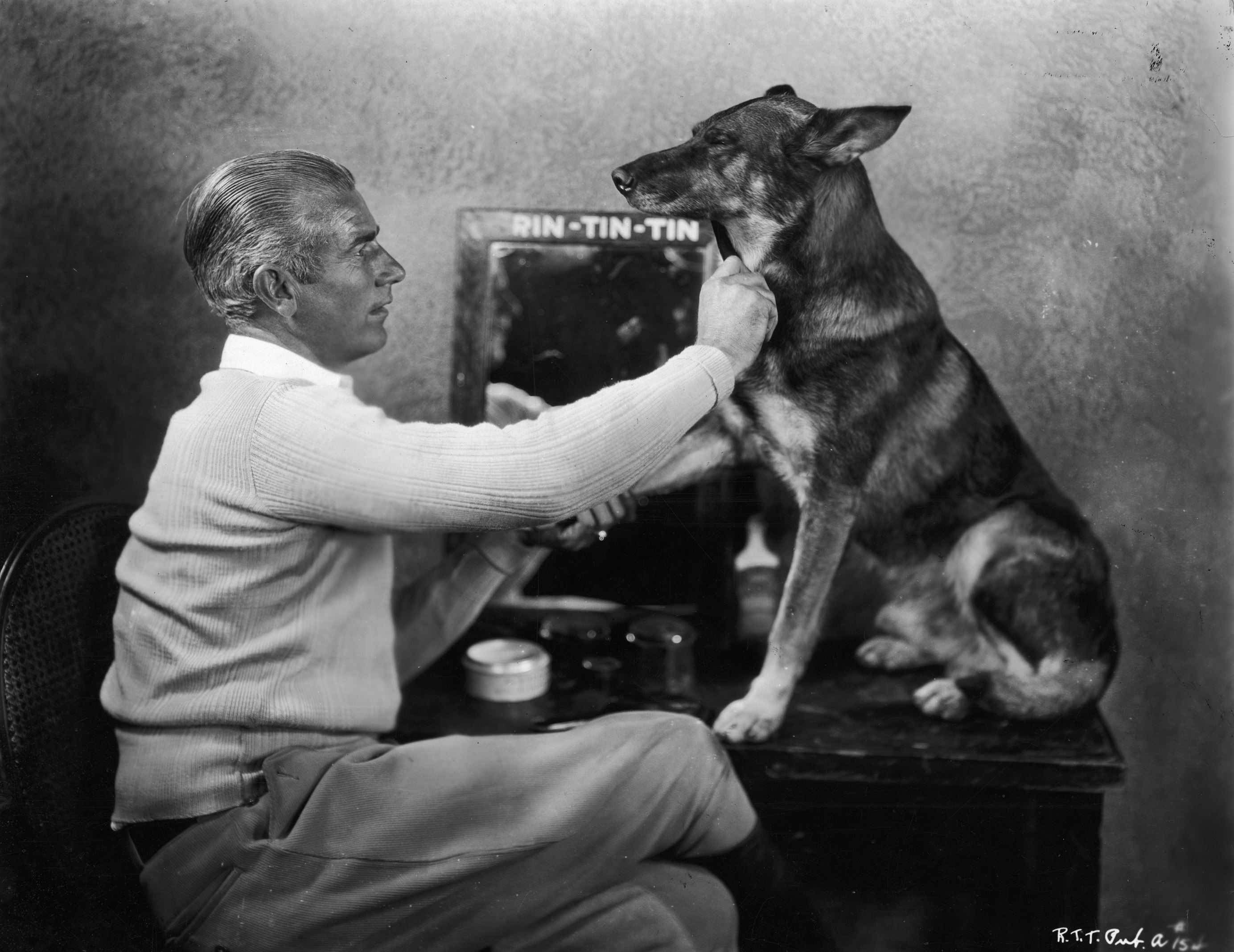 Rin Tin Tin