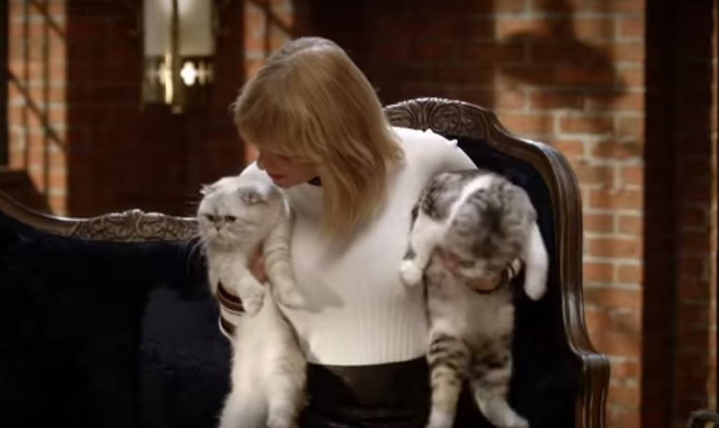 Taylor Swift poses with her cats in the teaser for her new series. | AT&T
