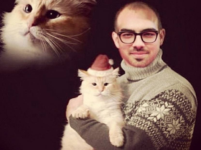 Joe Jonas holds a cat with a Santa hat Joe Jonas holds a cat with a Santa hat