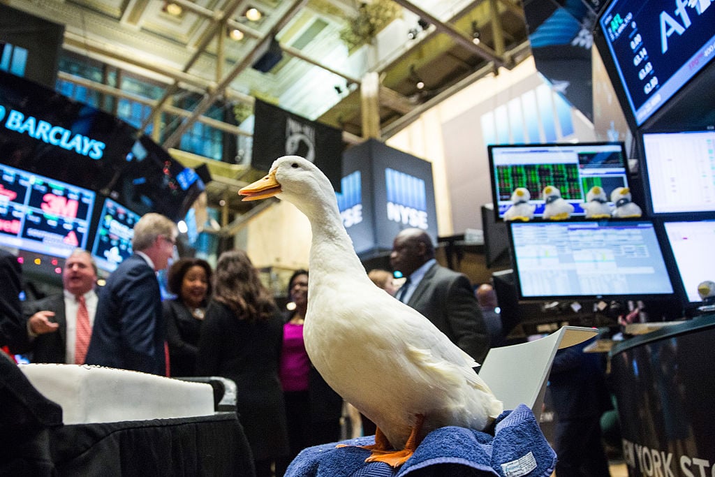 Aflac duck at stock exchange