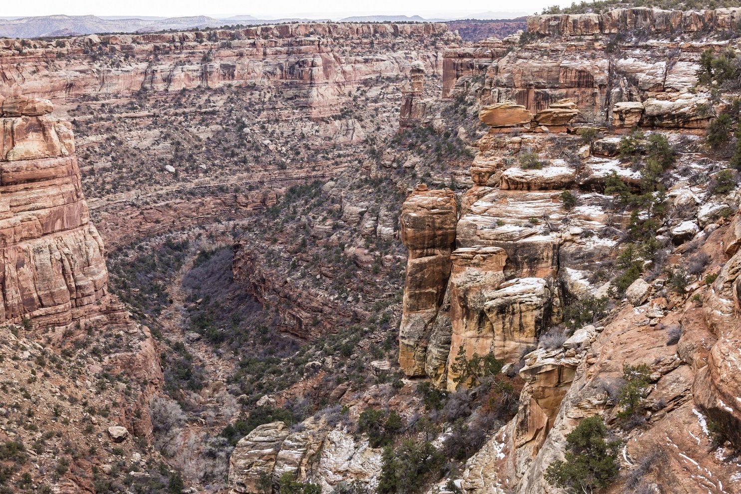 Mule Canyon and Dry Creek Bears Ear
