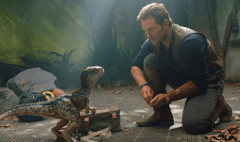 Owen interacts with a small dinosaur. Owen interacts with a small dinosaur.