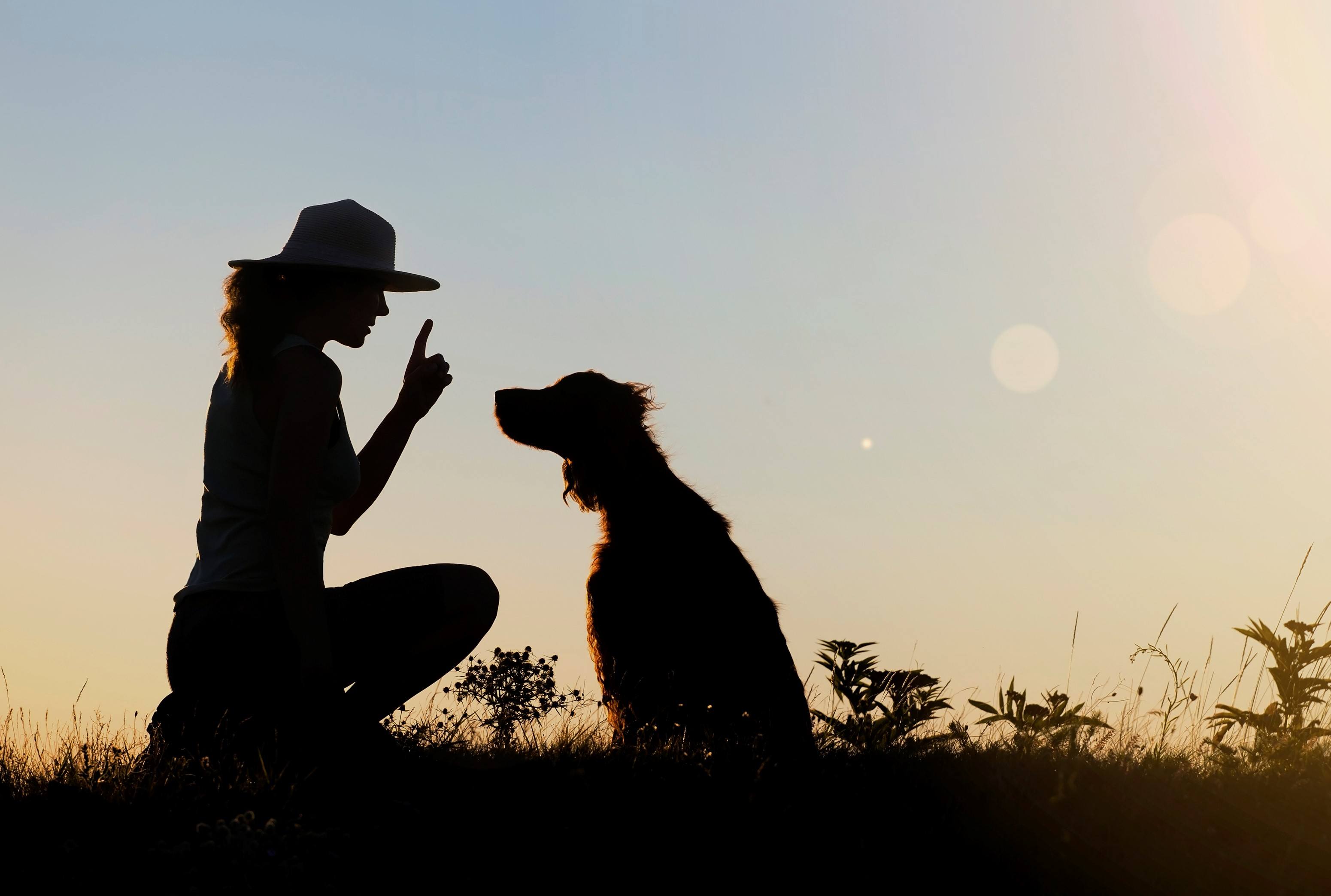 Silhouette of a female as training her dog