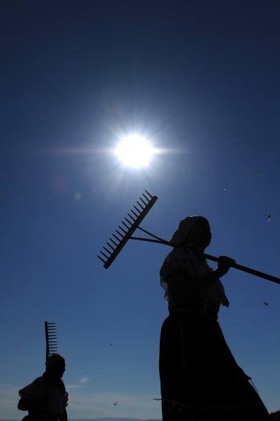 women carrying rakes against a blue sky women carrying rakes against a blue sky
