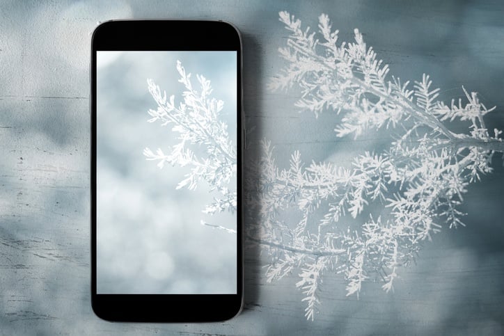 illustration of smarthphone with snowy tree branch