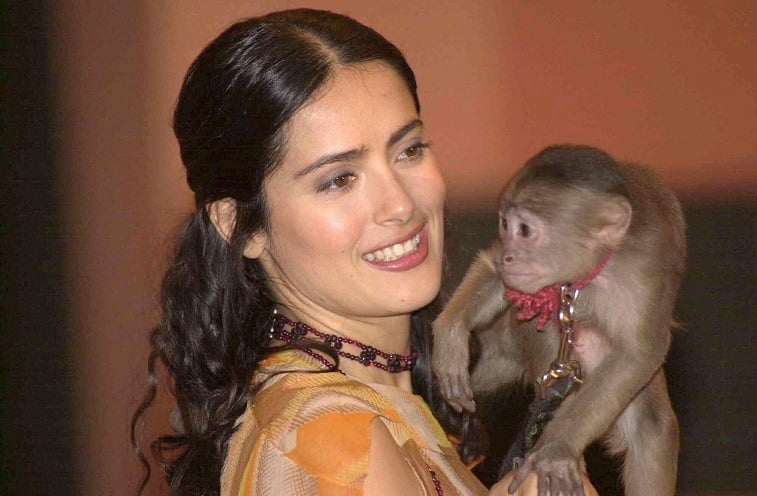 Mexican actress Salma Hayek holds 'Tyson' the spider monkey at a press conference about the movie 'Frida Kahlo' April 5, 2001 in Mexico City. 