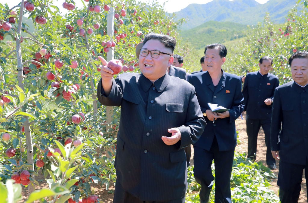 North Korean leader Kim Jong Un visits a fruit farm.