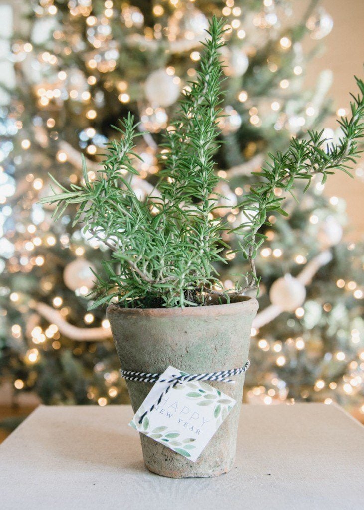 Joanna Gaines Christmas Decor Hostess gift