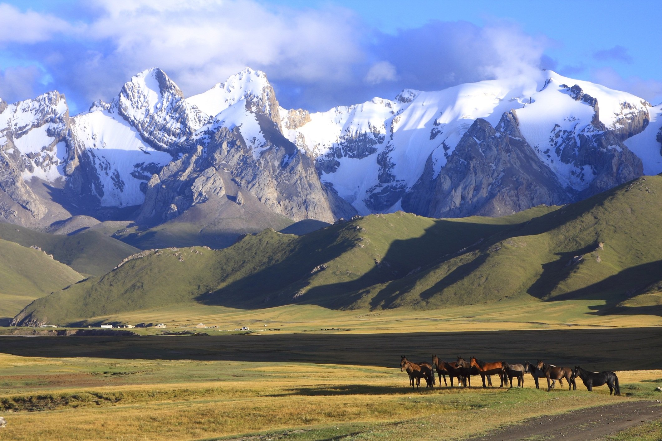 horse and mountain landscape of Kyrgyzstan
