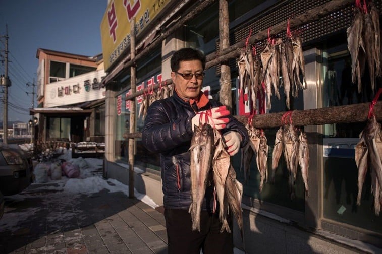 A merchant in North Korea North Korean Merchant