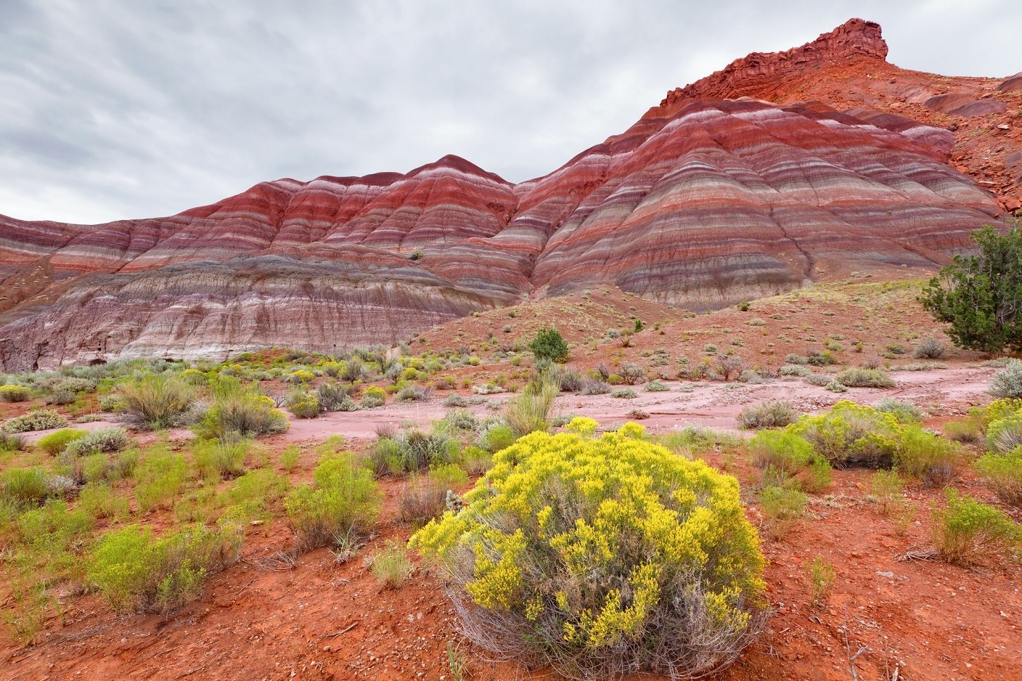 Paria Mountains in Grand Staircase Escalante