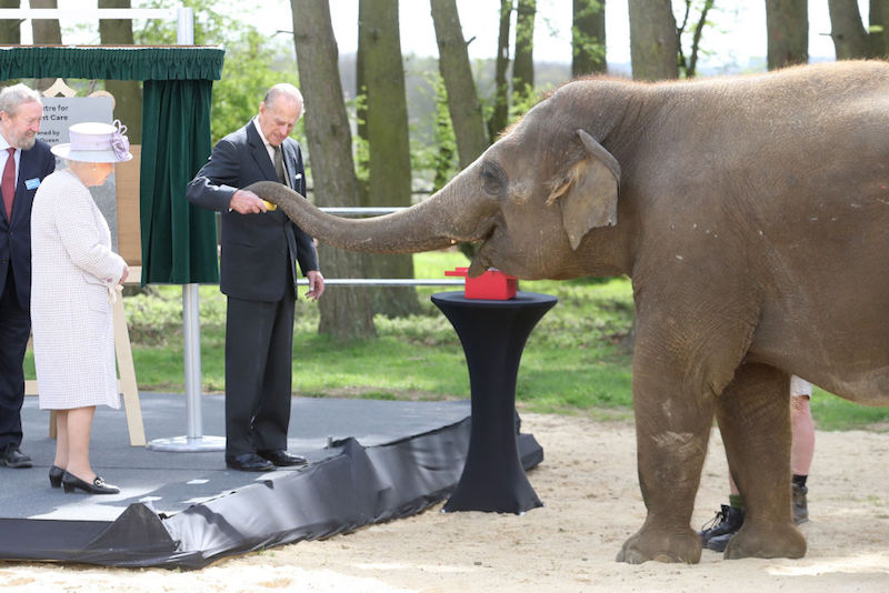 Prince Phillip feeding an elephant.