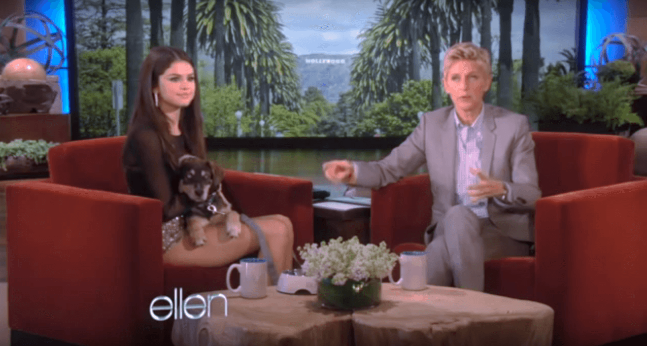 Selena Gomez on The Ellen Show with her dog Baylor