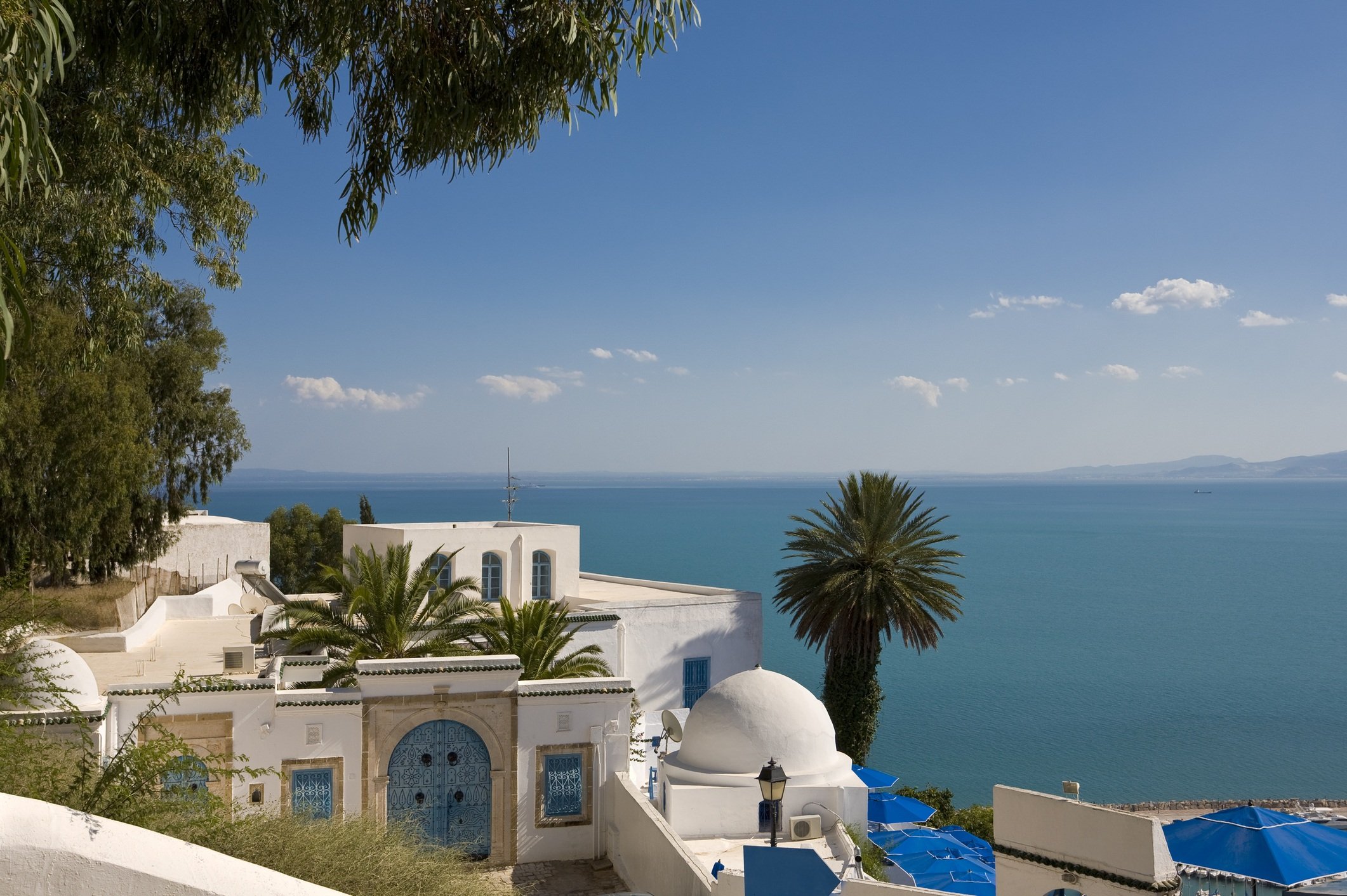 Tunisia white house with blue door and palm trees overlooking the ocean