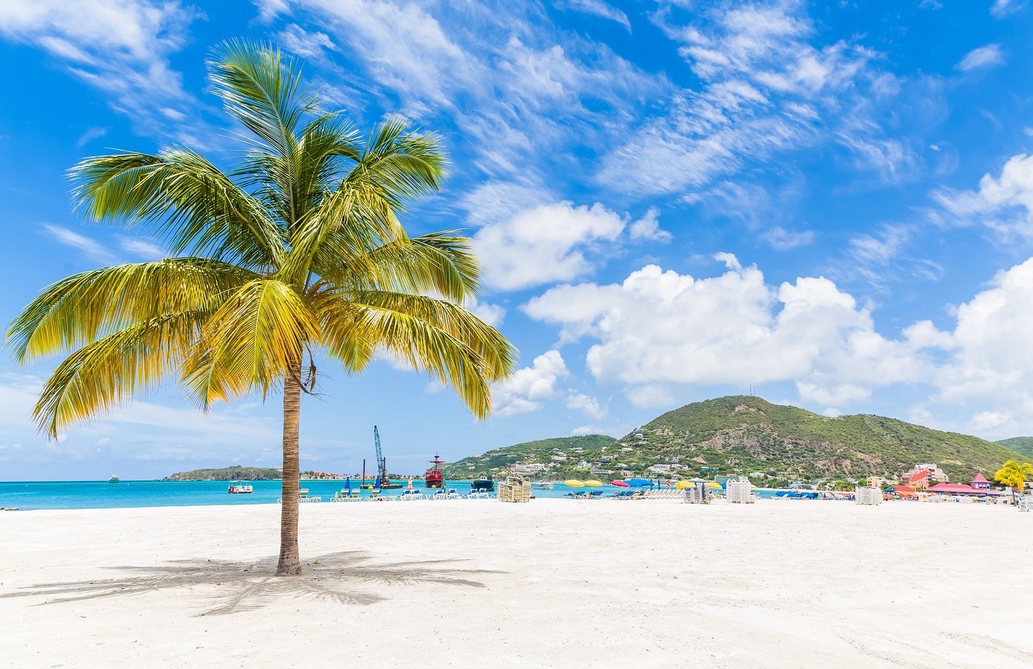 Palm tree on a beautiful beach near Philipsburg, St Martin