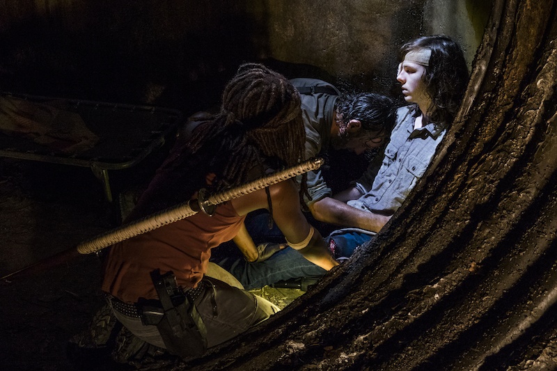 Andrew Lincoln as Rick Grimes, Danai Gurira as Michonne, Chandler Riggs as Carl Grimes - Andrew Lincoln as Rick Grimes, Danai Gurira as Michonne, Chandler Riggs as Carl Grimes -