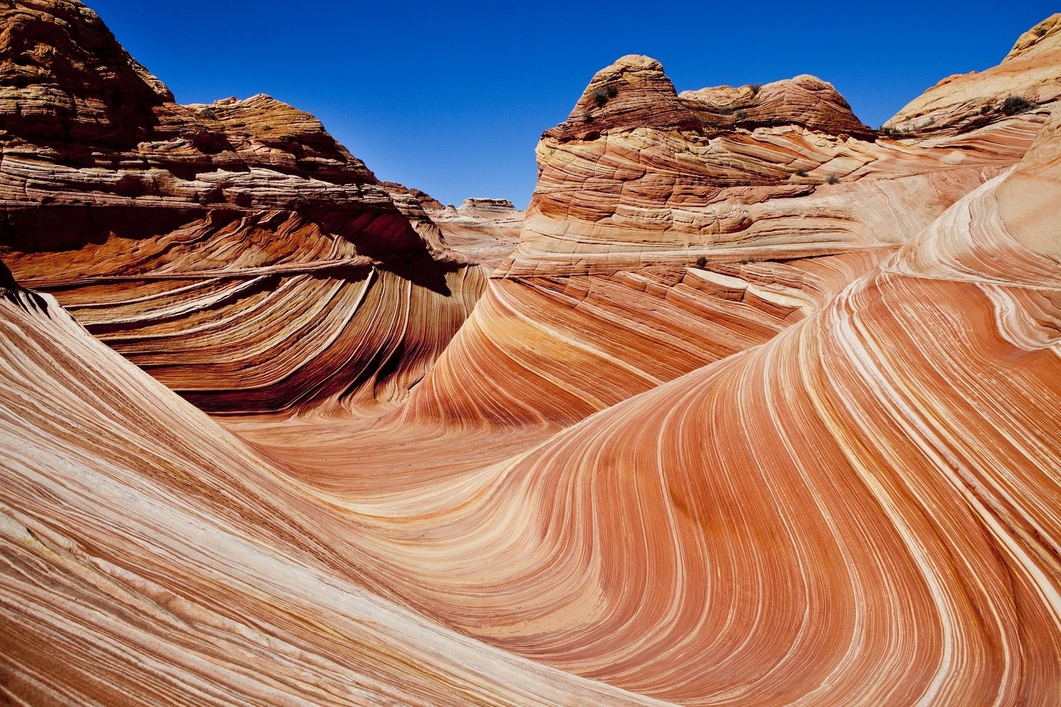 The Wave, Coyote Buttes