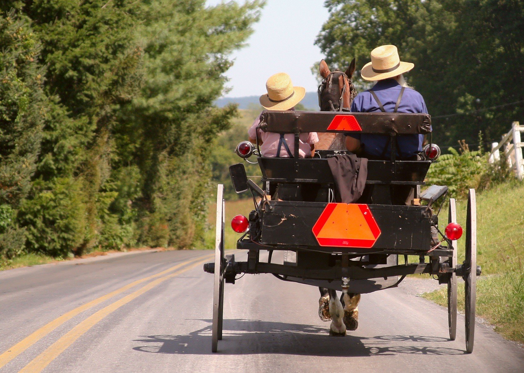 Amish Buggy in Lancaster, PA