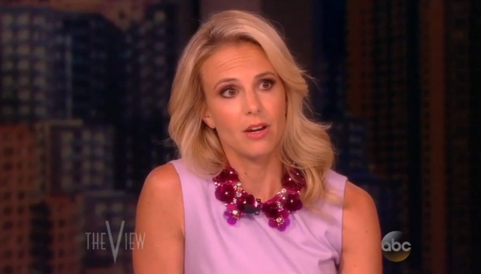 Elisabeth Hasselbeck on The View Elisabeth Hasselbeck on The View