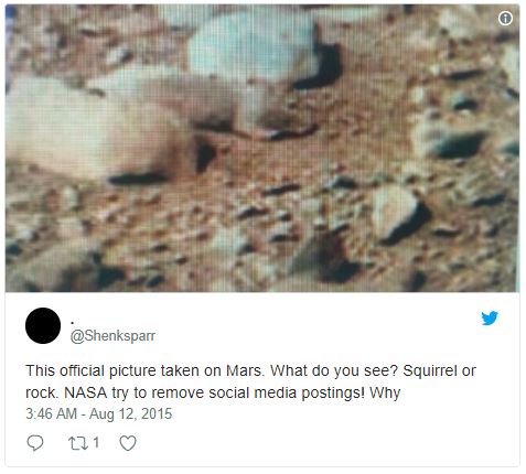 mars squirrel mars squirrel