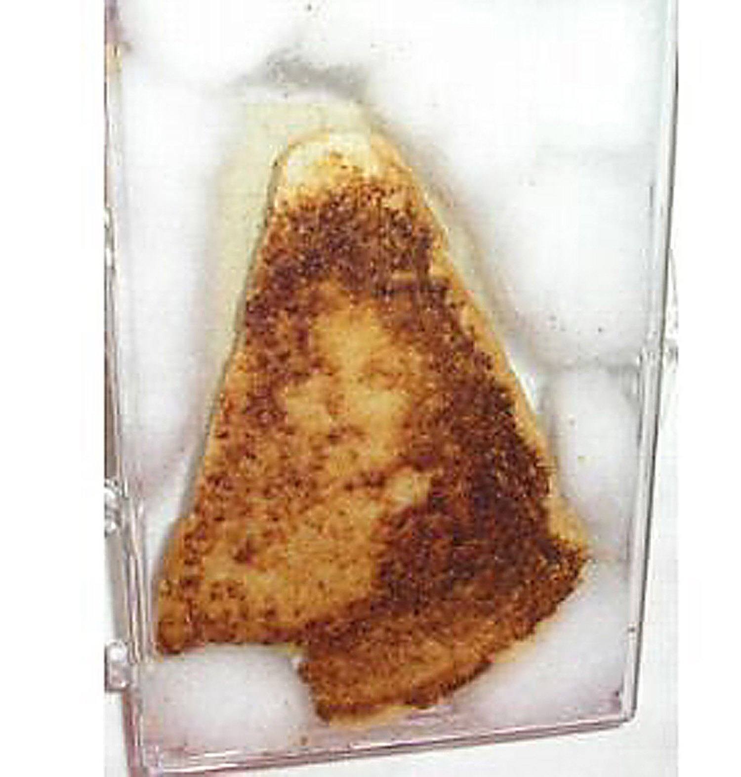 Virgin Mary Grilled Cheese Sandwich