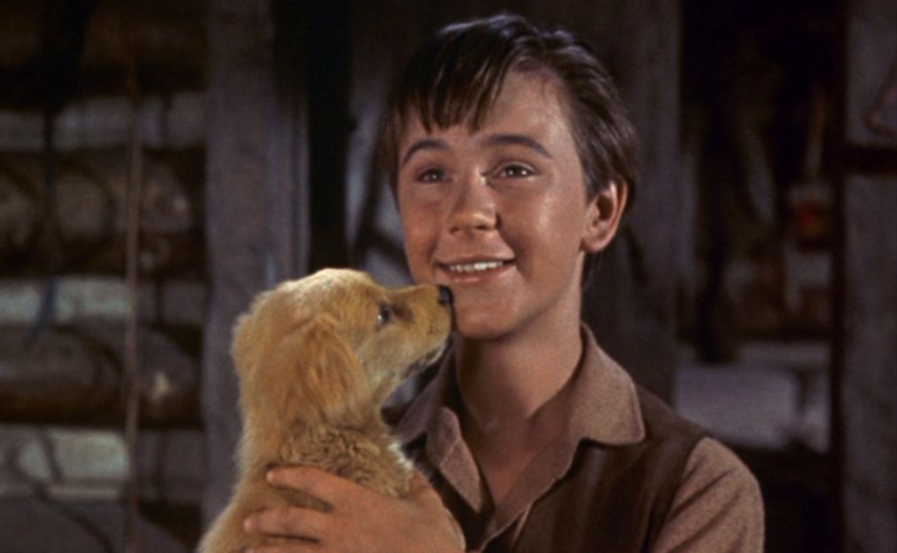 Tommy Kirk in Old Yeller