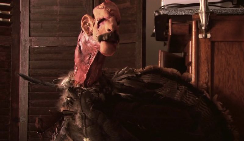 A killer turkey A killer turkey