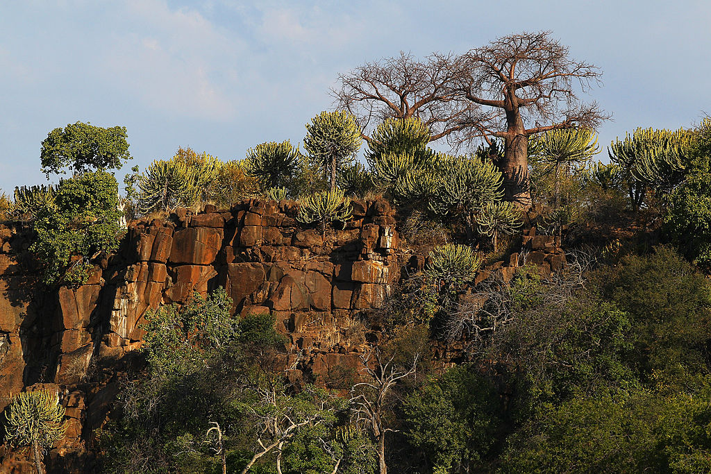 Cliff top in Mapungubwe, Botswana