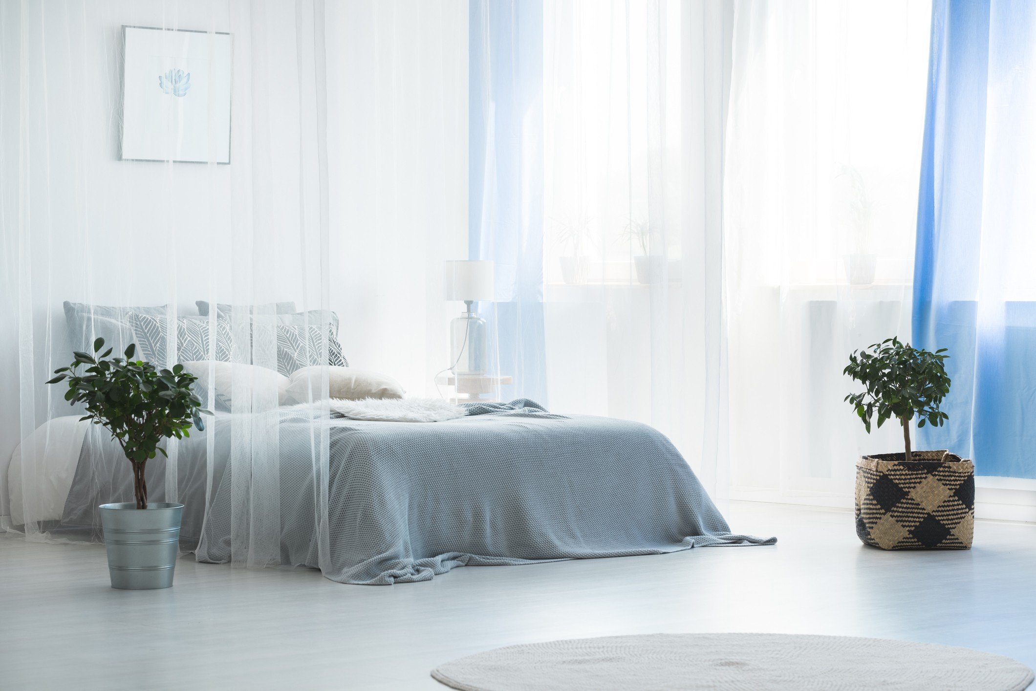 Canoby bed in calming blue bedroom