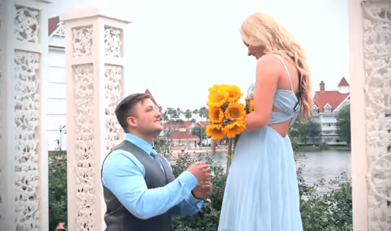 Disney Proposal