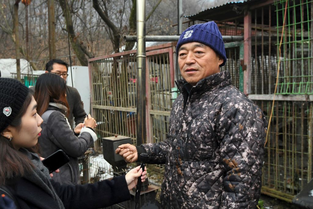 Korea dog meat farm