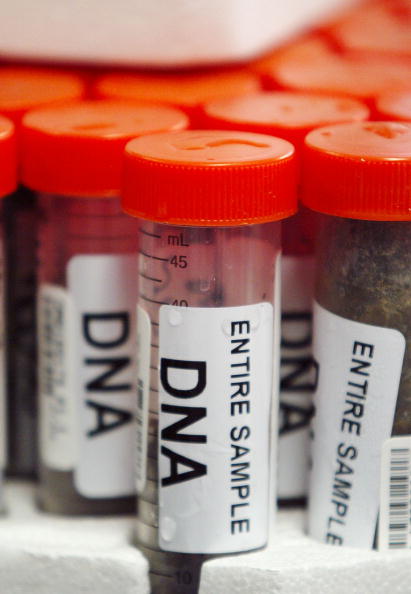 vials containing DNA with orange caps